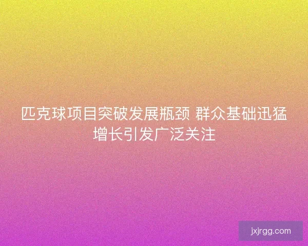 匹克球项目突破发展瓶颈 群众基础迅猛增长引发广泛关注 匹克球项目突破发展瓶颈 群众基础迅猛增长引发广泛关注